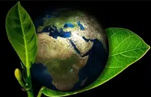 Boost Your Brand and Save the Planet: Why Eco-Friendly Promotional Merchandise is a Game Changer! The title for your blog post.