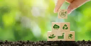 Understanding Eco-Friendly Products: Embracing Sustainable Terminology