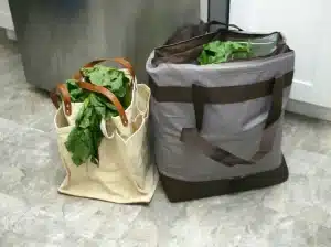 Which Fabrics Make the Best Eco-Friendly Shopping Bags?